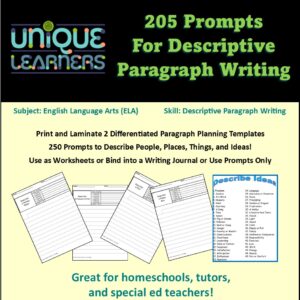 205 Description paragraph writing prompts in a formatted graphic organizer.