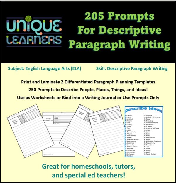 205 Description paragraph writing prompts in a formatted graphic organizer.