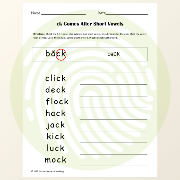 Check It Out Phonics Short Vowels Folder Game and Worksheets Example 02