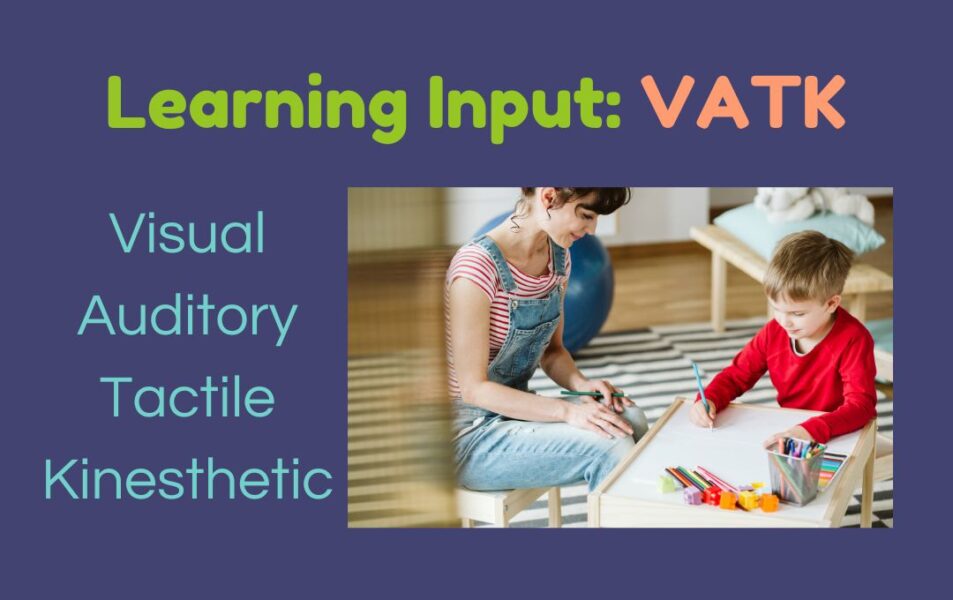 The four modes of learning input are: visual, auditory, tactile, and kinesthetic.