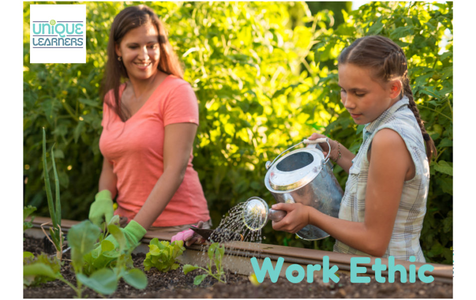 Homeschool Moms Lesson - Work Ethic