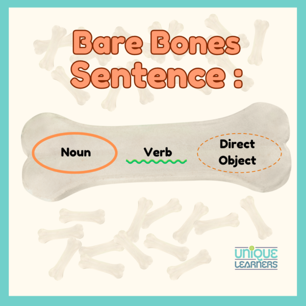 The essential components of a sentence are the noun and verb and sometimes a direct object. Bare Bones Sentence.