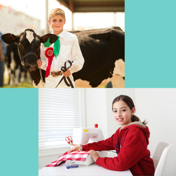 Participating in club activities, like 4-H animal and sewing projects, can keep kids busy with hands-on learning through the summer months.