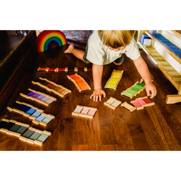 Boy sorting color tiles in a Montessori Homeschool