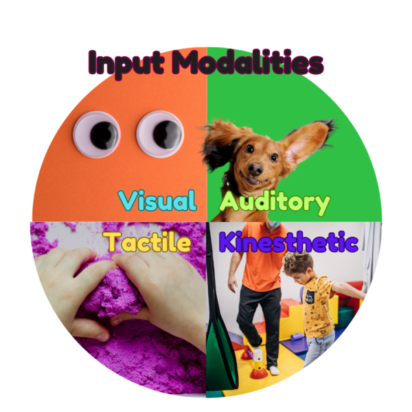 Input Modalities for homeschooling: Visual, auditory, tactile, and kinesthetic.