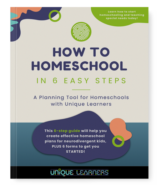 "How to Homeschool in 6 Easy Steps" Free E-book Guide