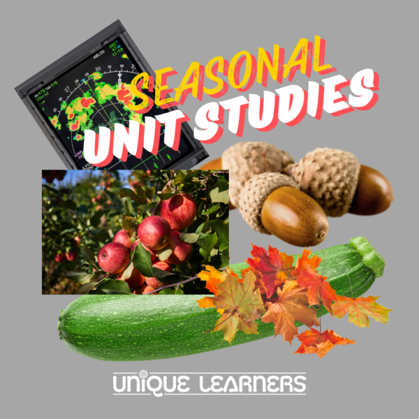 Seasonal Unit Studies - Fall Activities for Homeschool