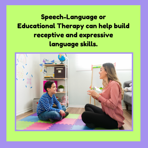 Language Skills: Speech-Language or Education Therapy can help build receptive and expressive language skills