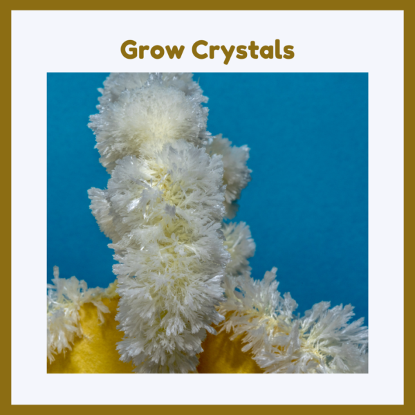 January Ideas for Growing Crystals